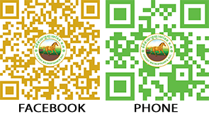 QR code for Facebook and Phone